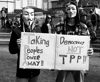 13479837074_5502fb4f2c_n